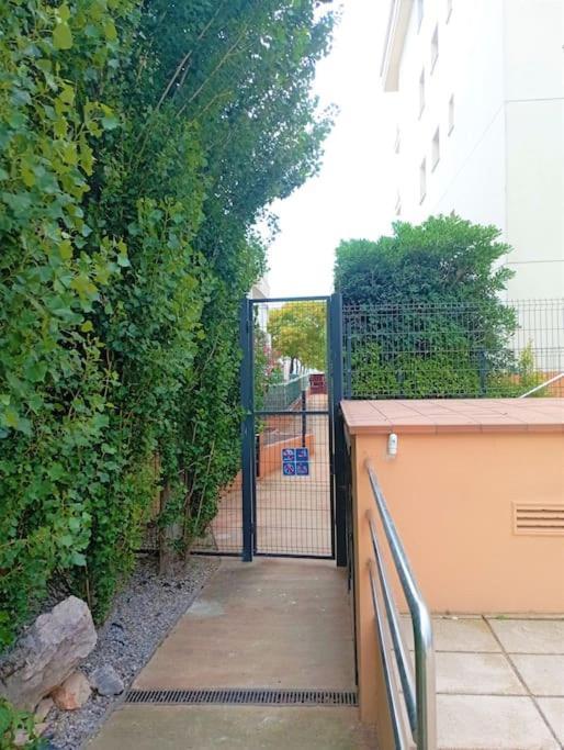 Apartamento En Primera Linea De Mar Roses Exterior foto